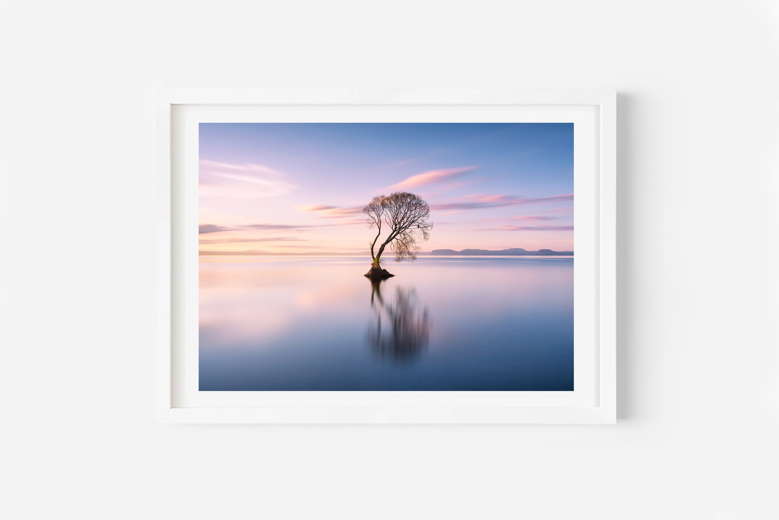 The Taupo Tree Lake Taupo NZ Print