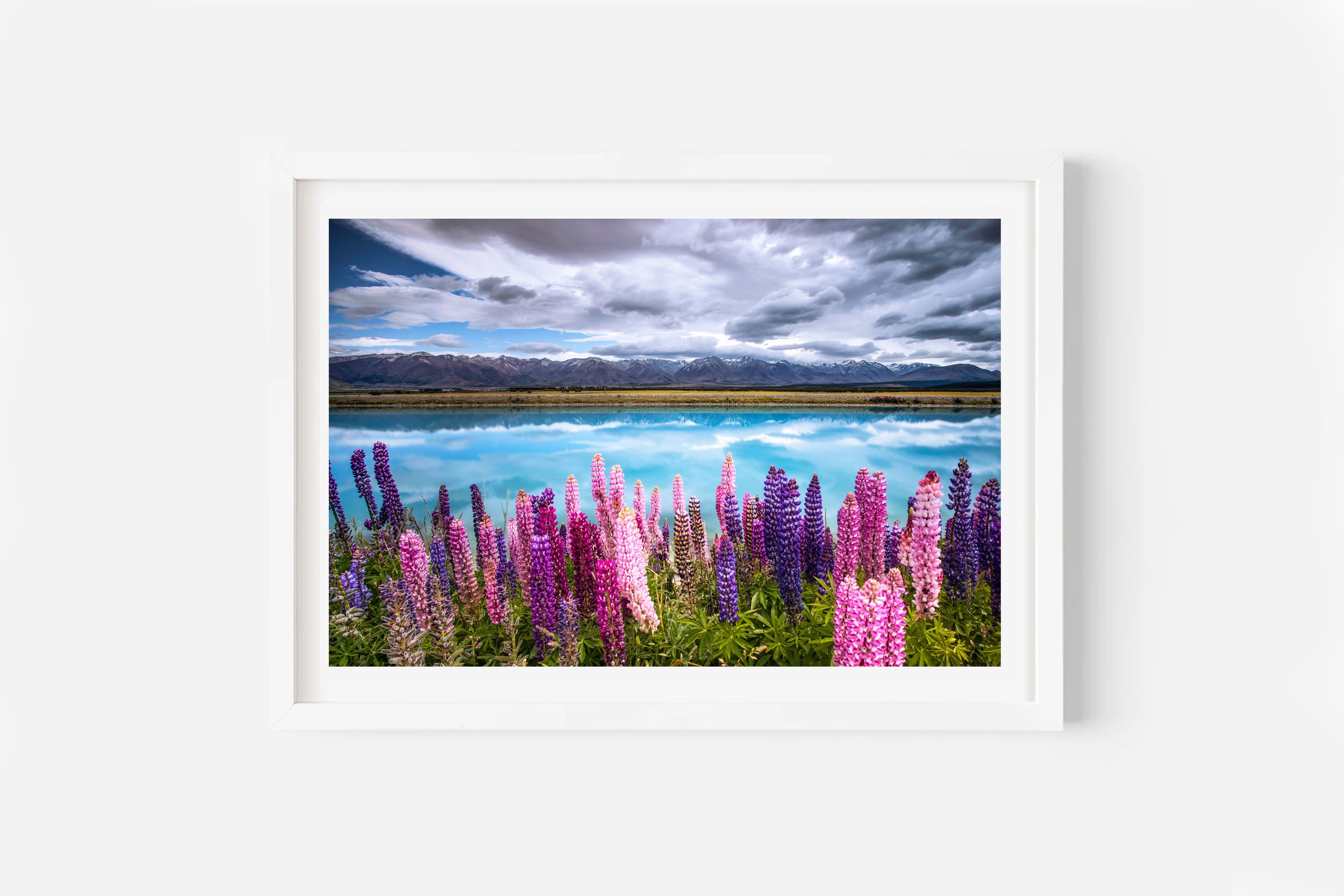 Mount Cook Lake Pukaki Canal Lupins NZ Print
