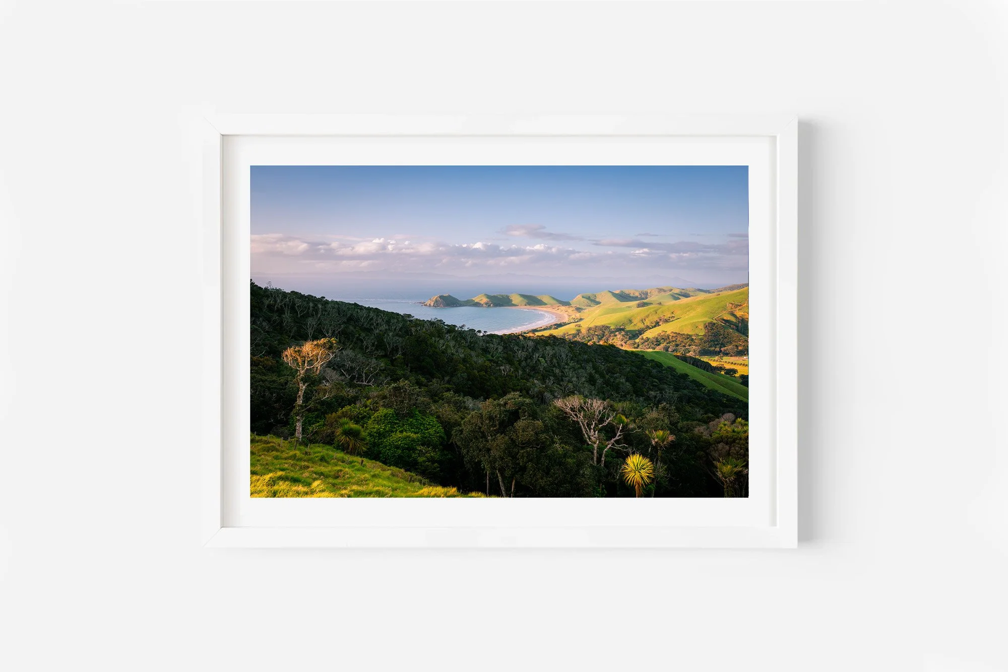 Port Jackson Lookout Northern Coromandel NZ Print