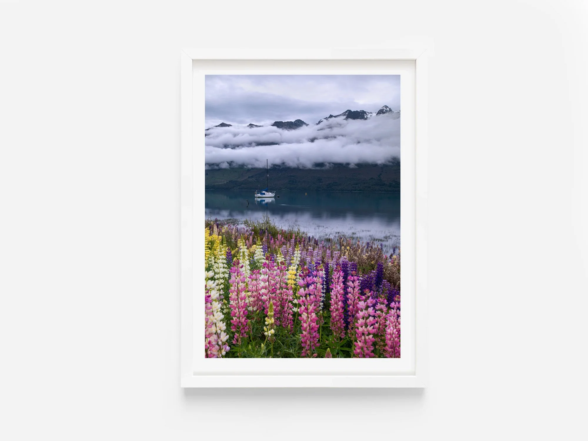 lupin flowers lake wakatipu glenorchy art print new zealand