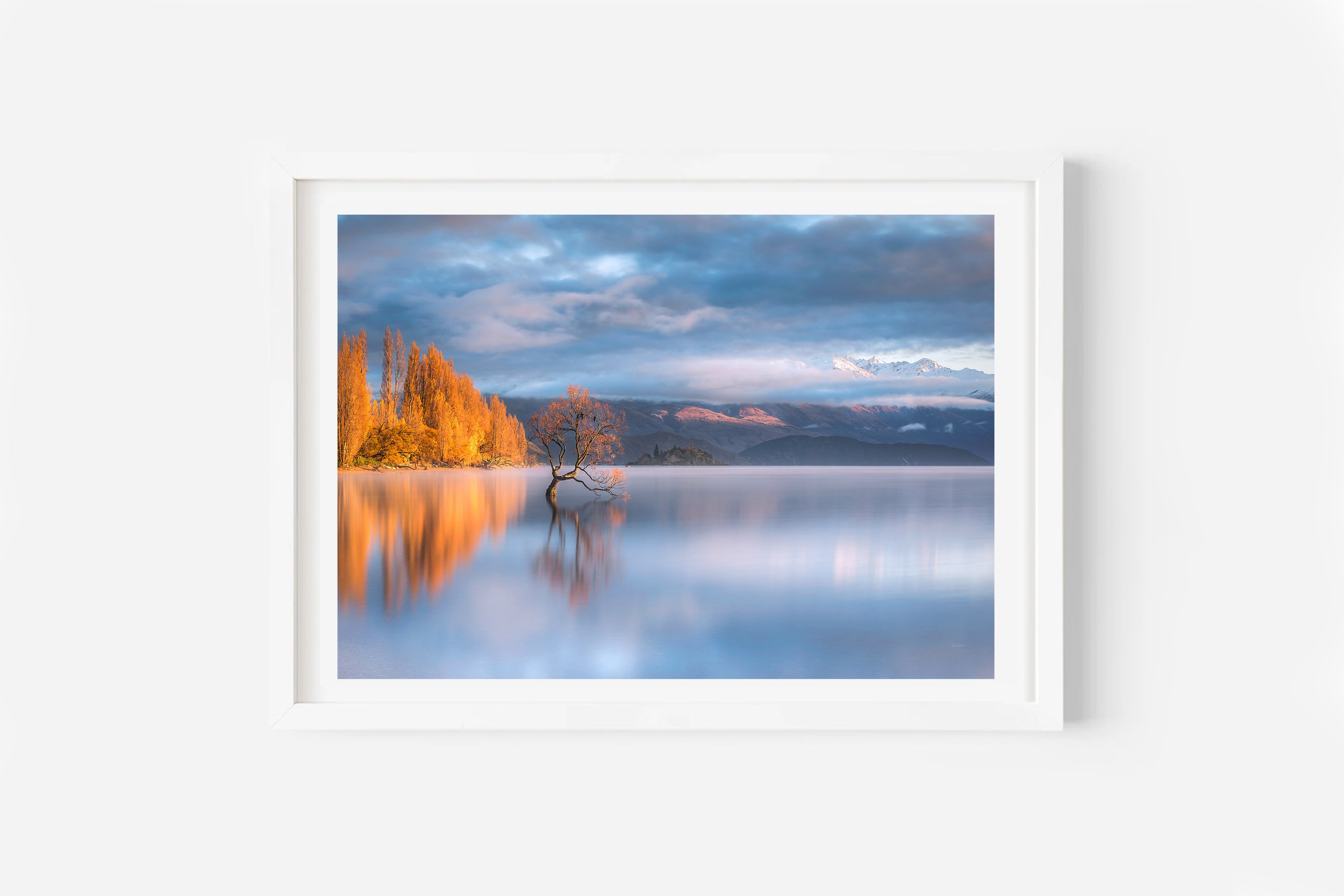 Wanaka Tree sunrise autumn NZ Print