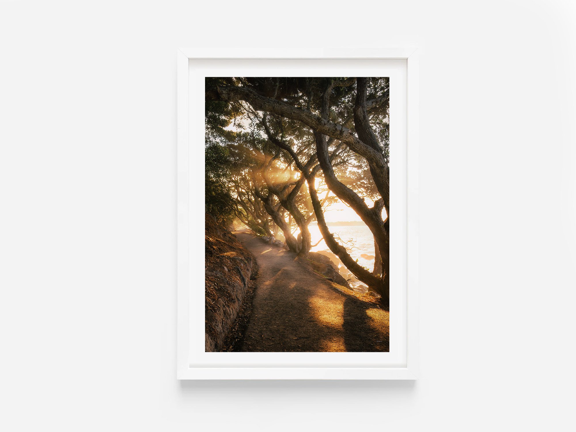 Mount Maunganui Basetrack Walk Sunset Tauranga NZ Print