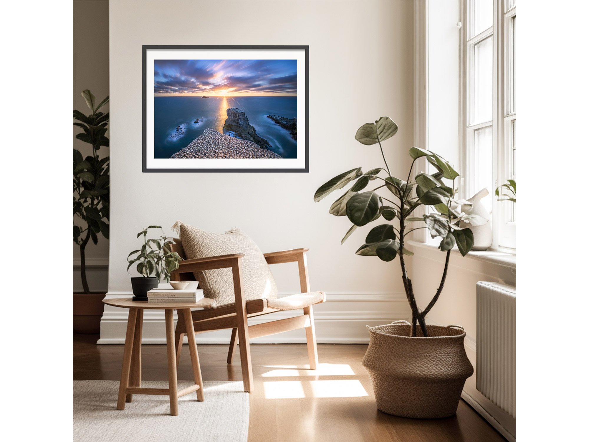 Muriwai Ganney Colony Auckland sunset NZ Print
