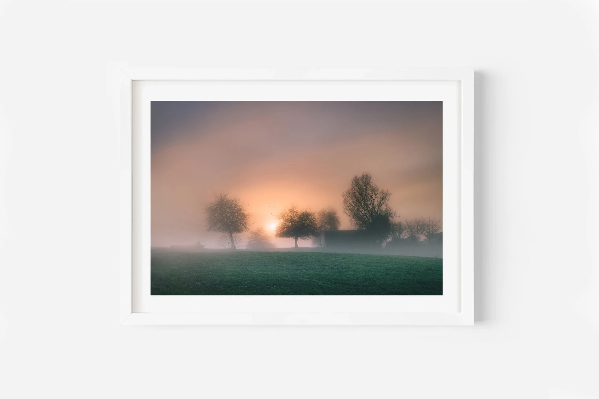 Waikato Fog Sunrise Rural Scene Print NZ