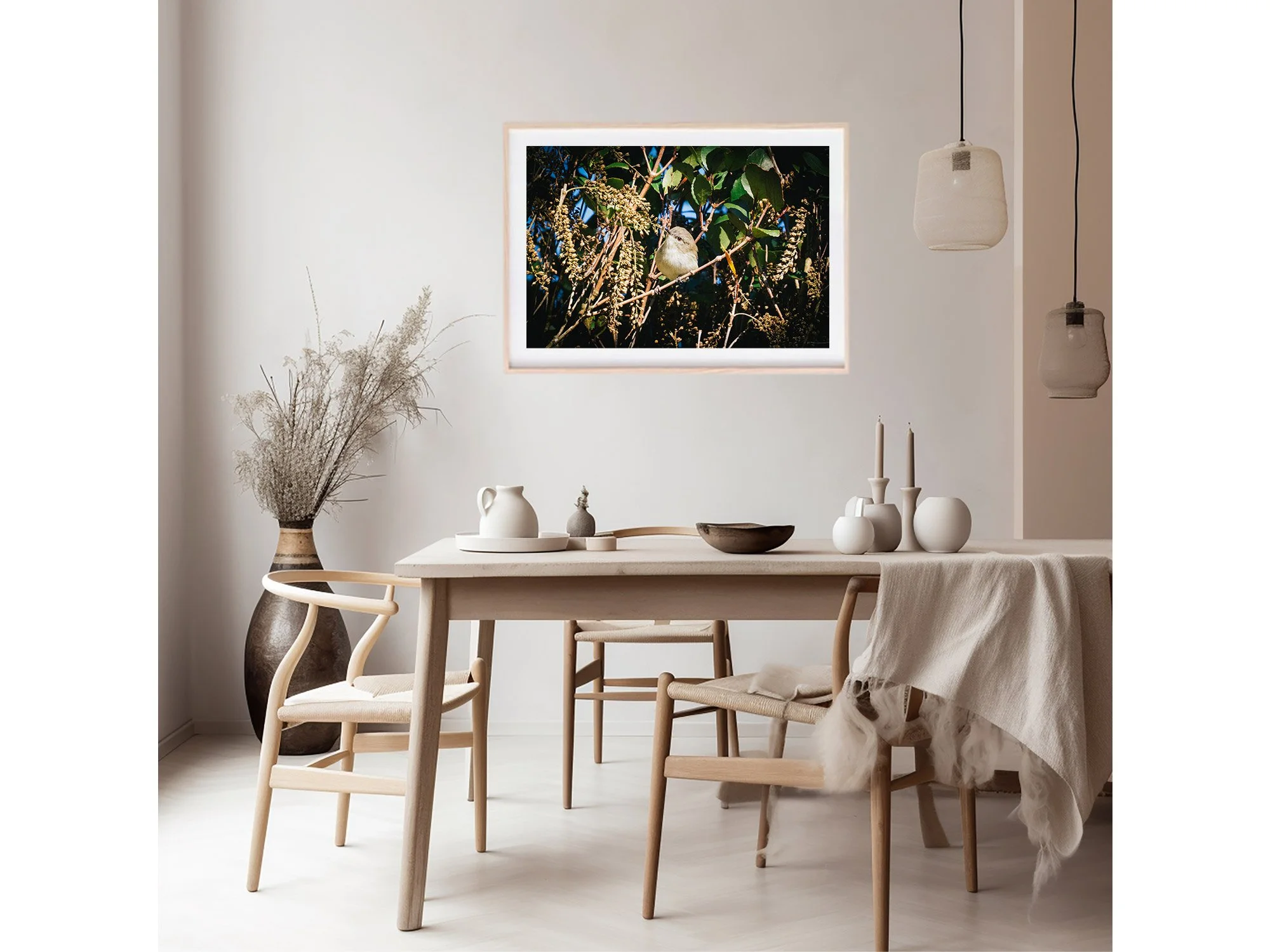 New Zealand Grey Warbler Bird Photo Print NZ