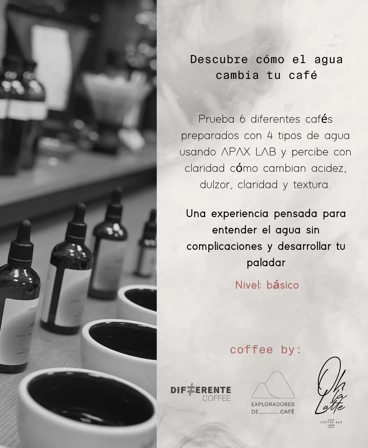 WhatsApp Image 2026-04-29 at 13.32.03 (1).jpeg (copia)