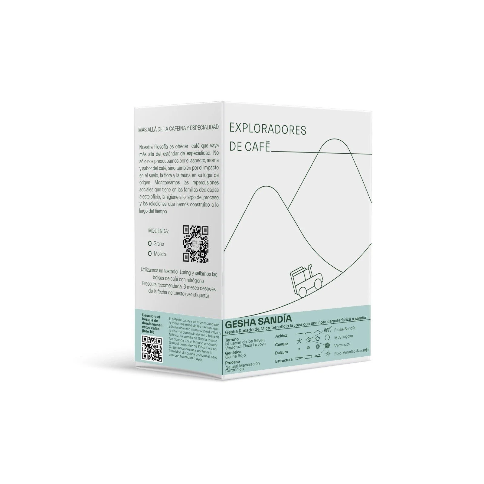 GESHA SANDIA FRONTAL.jpeg