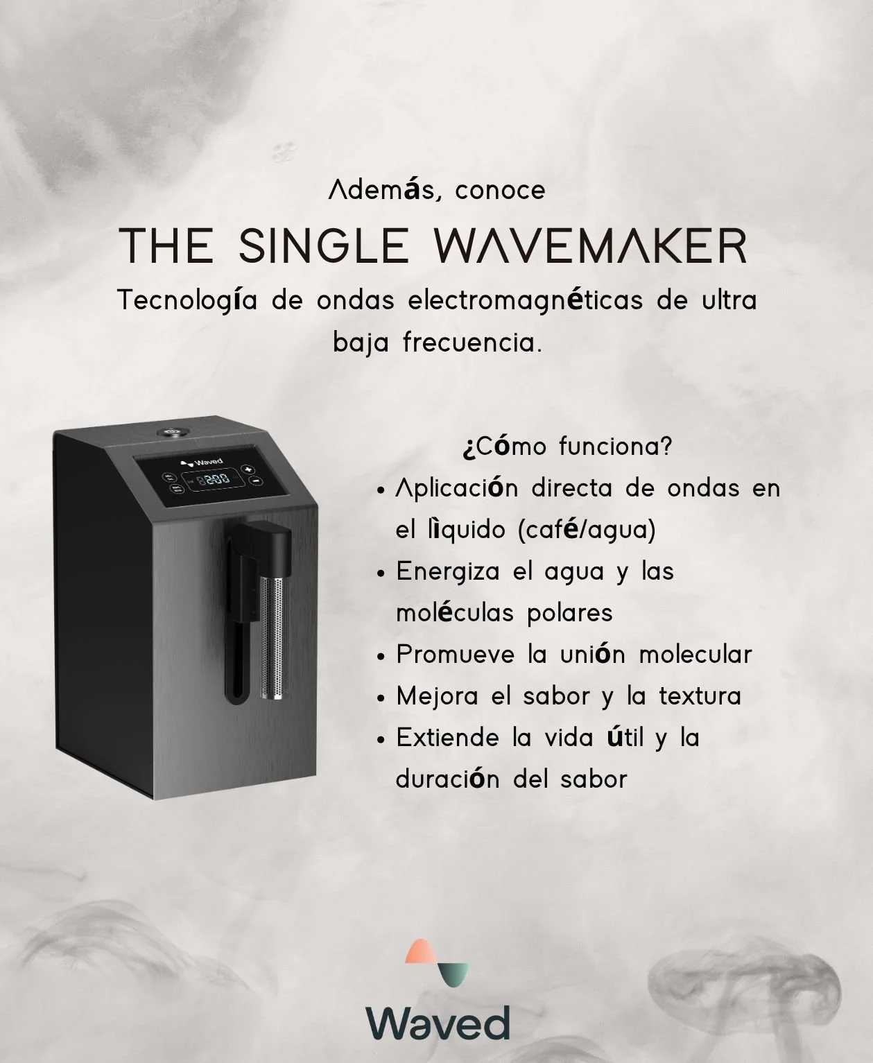 WhatsApp Image 2026-04-29 at 13.32.03 (2).jpeg (copia)