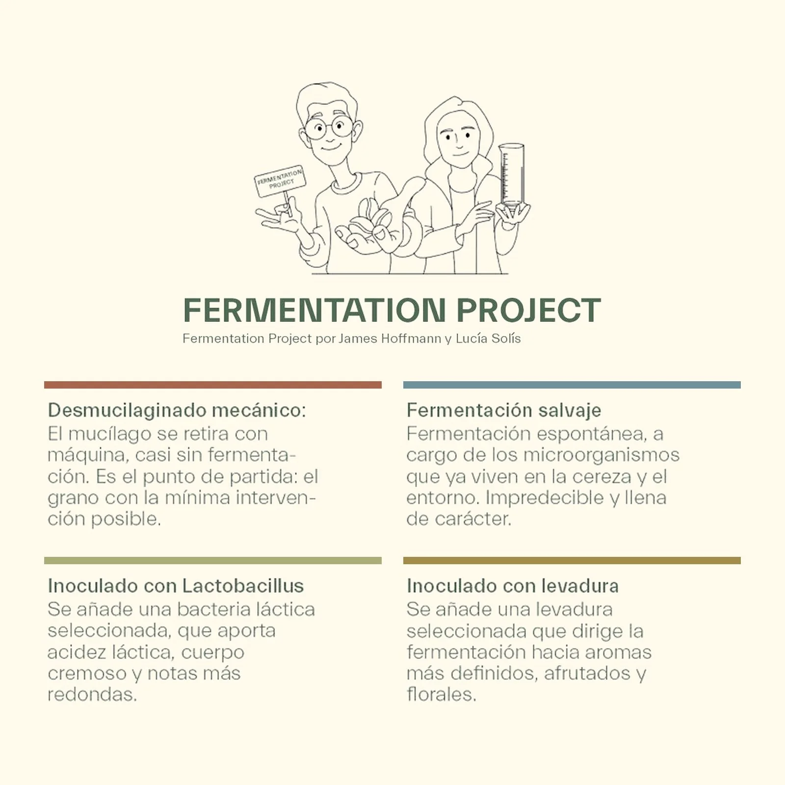 02-fermentation-project-cuatro-procesos.jpg