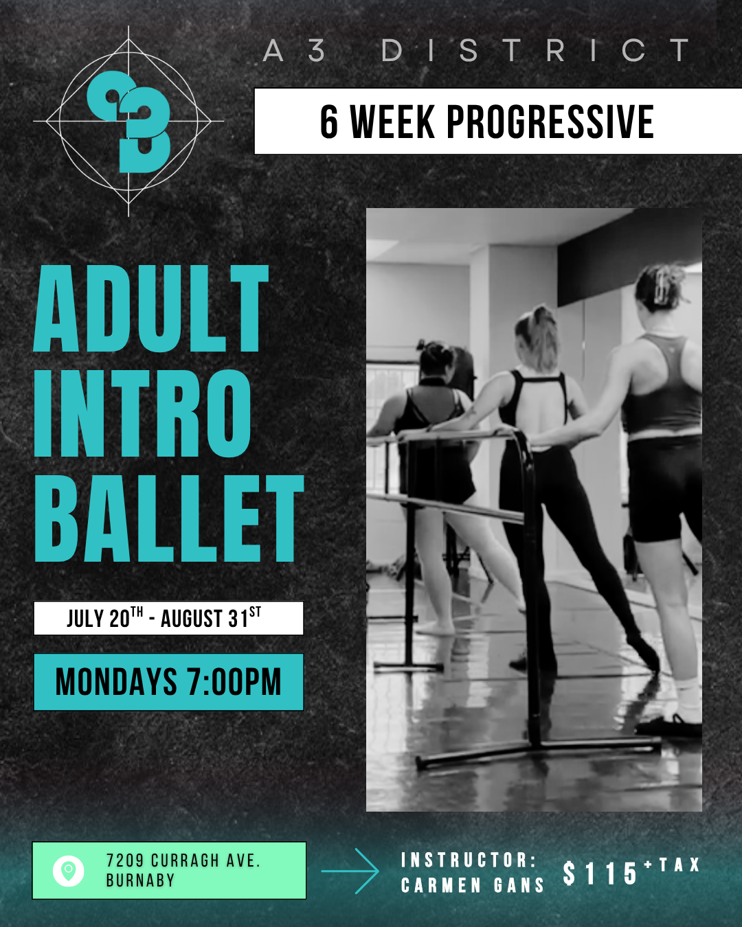 ADULT INTRO TO BALLET - July 20th - August 30th