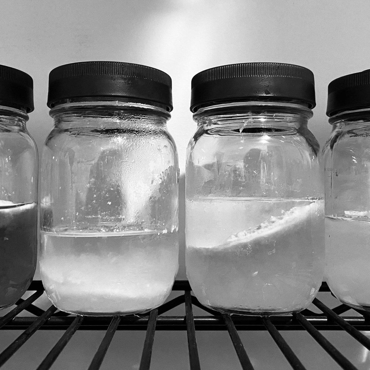 liquid+cultures.jpg