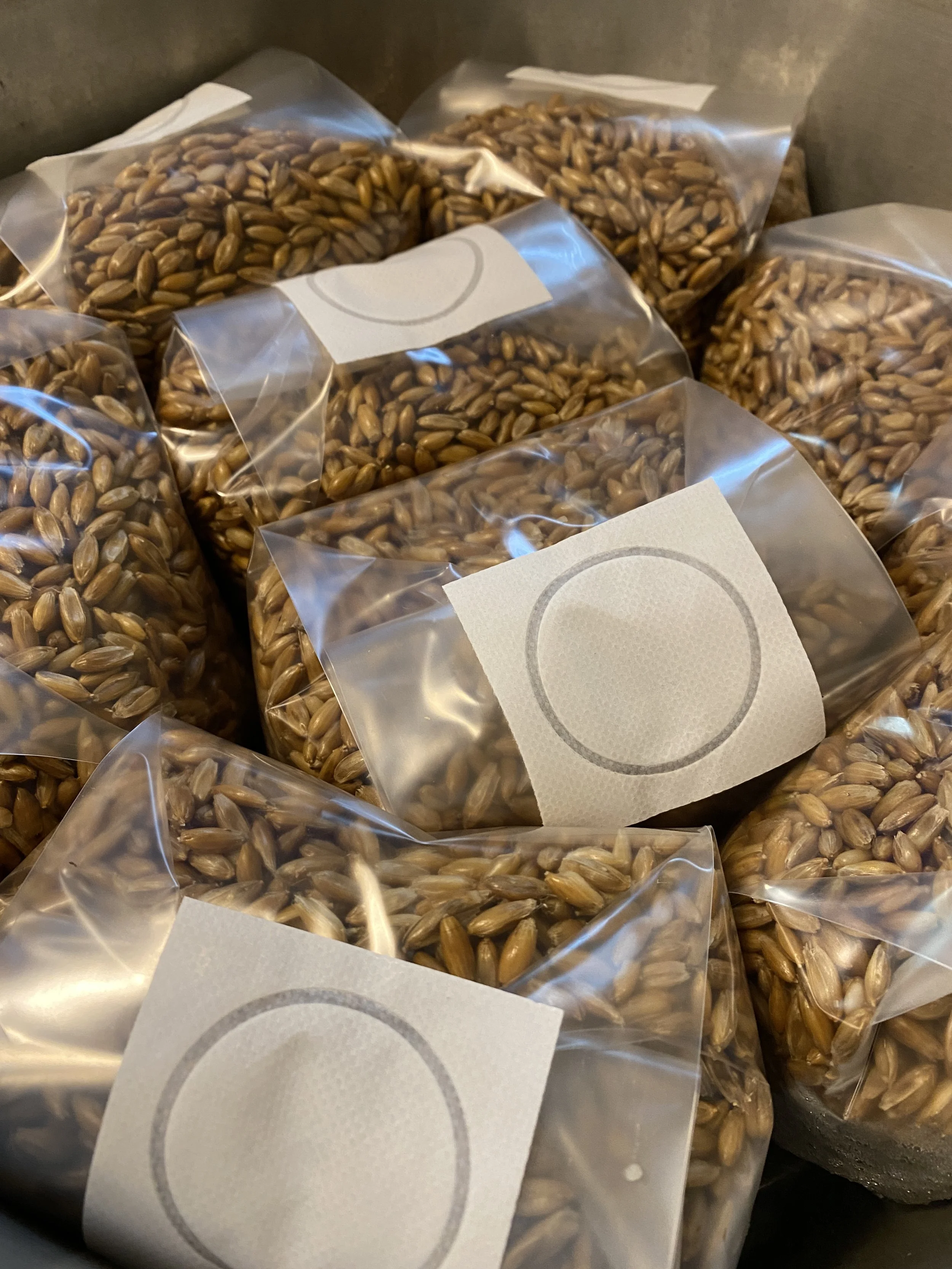 1 lb. grain bags 1.JPG