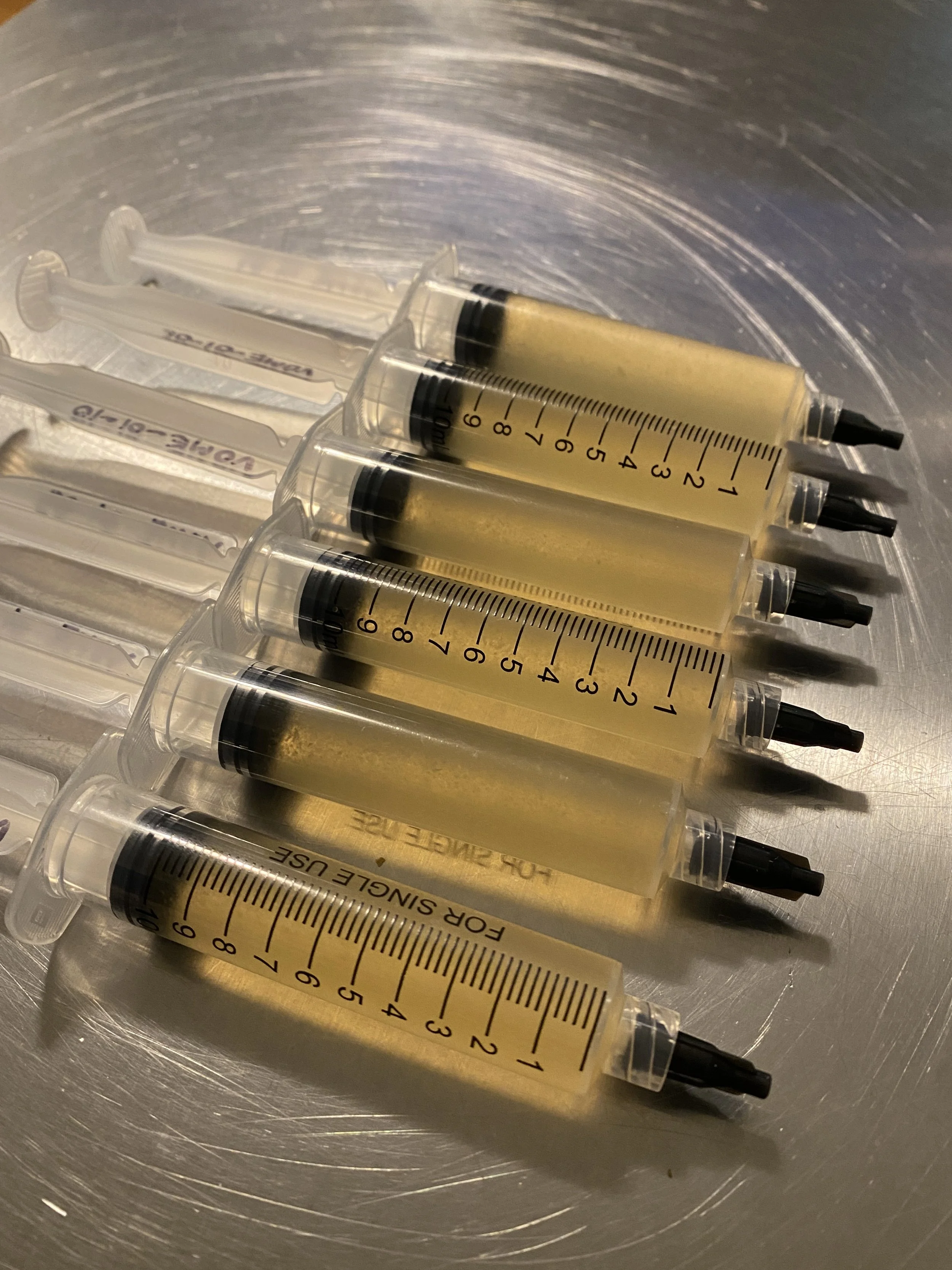 liquid culture syringes 1.JPG