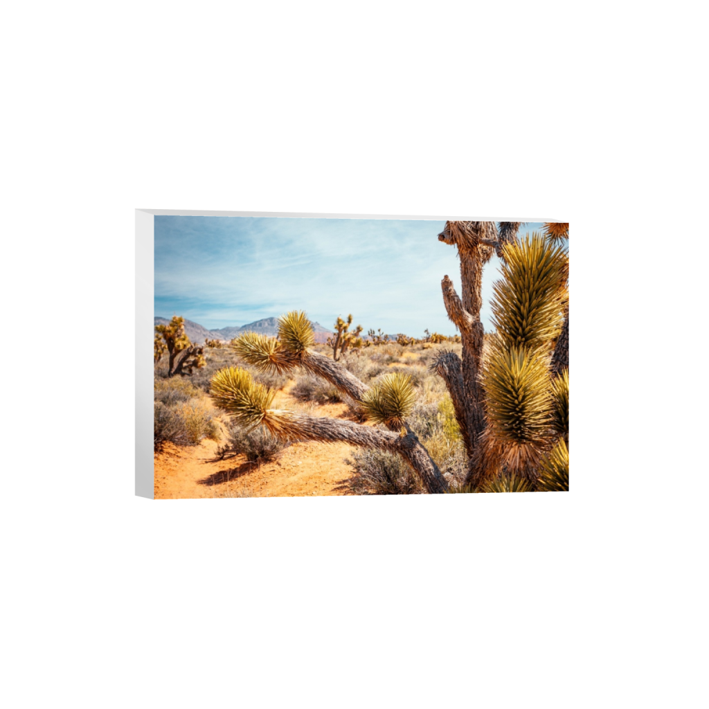 canvas_rectangle2_3_0_0_3688_2458_0.png