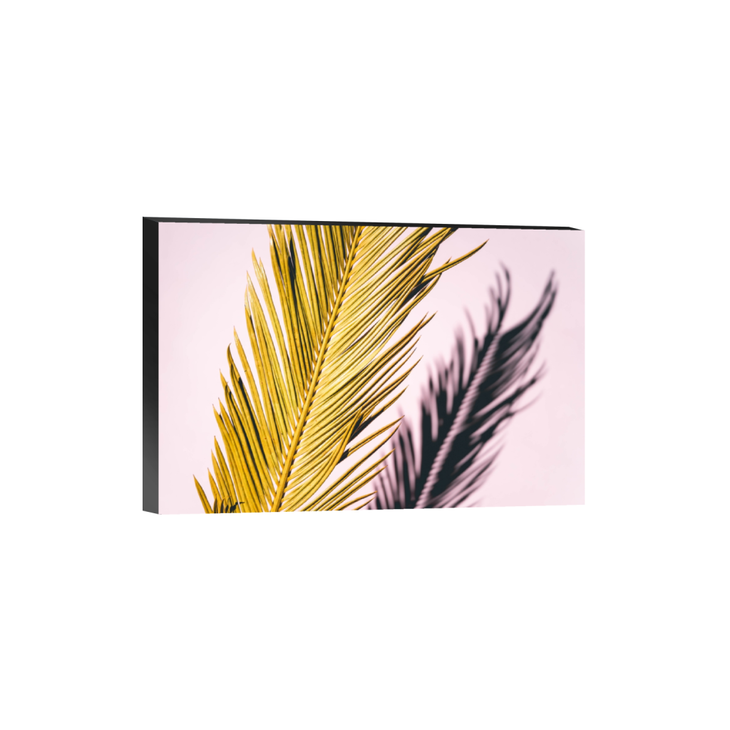 standout_rectangle2_3_0_314_4710_3140_0.png