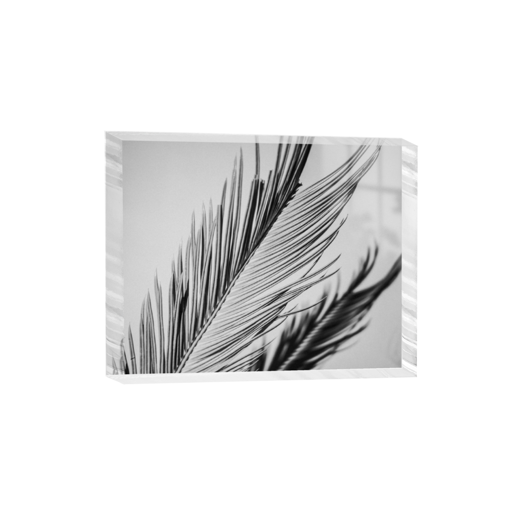 acrylicdesktopprint_rectangle4_5_0_0_5000_4000_0.png