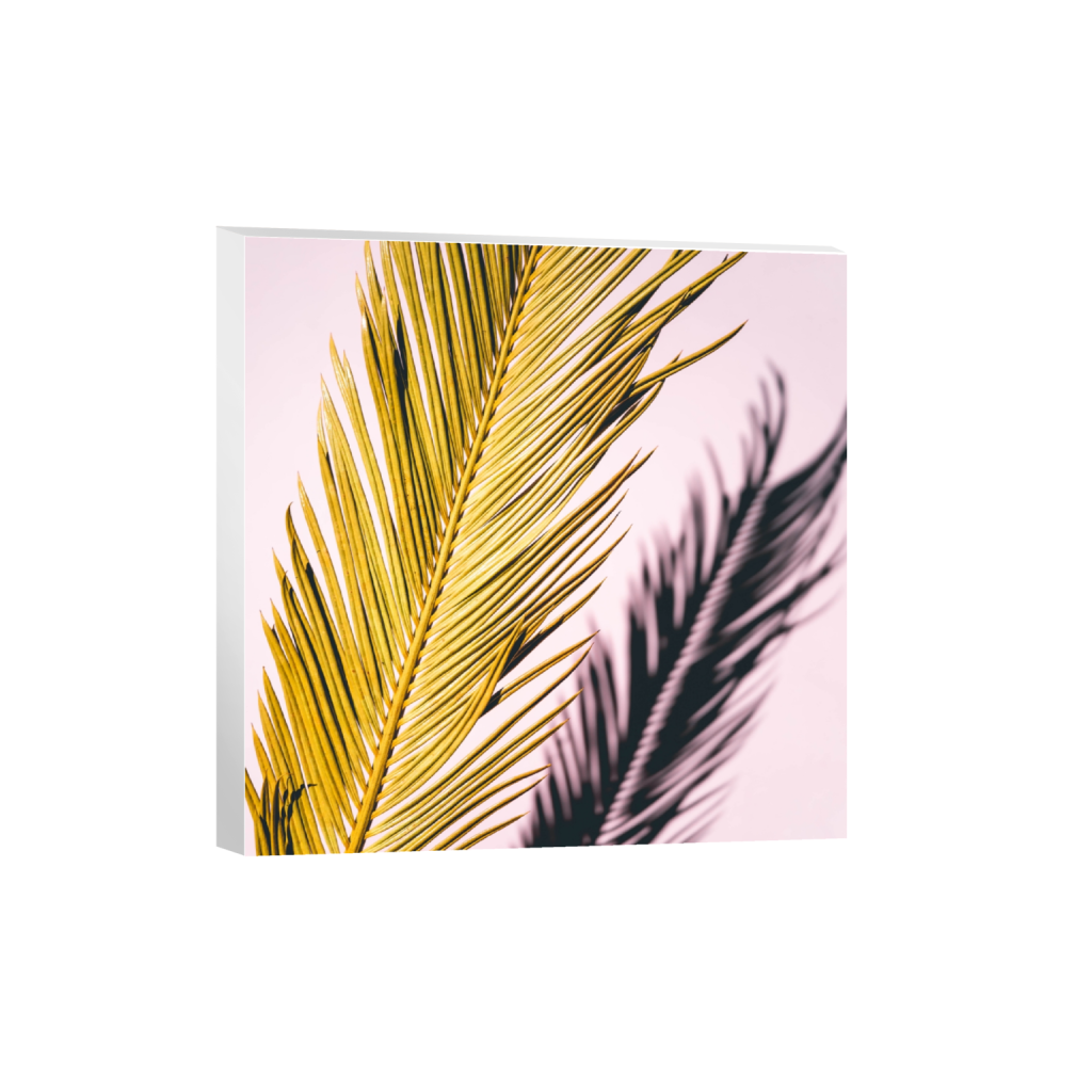 canvas_square_471_0_3768_3768_0.png