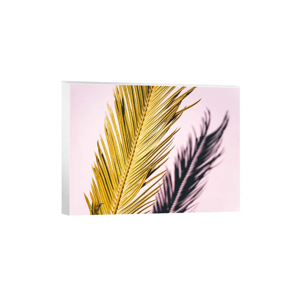 canvas_rectangle3_4_0_117_4710_3532_0.png