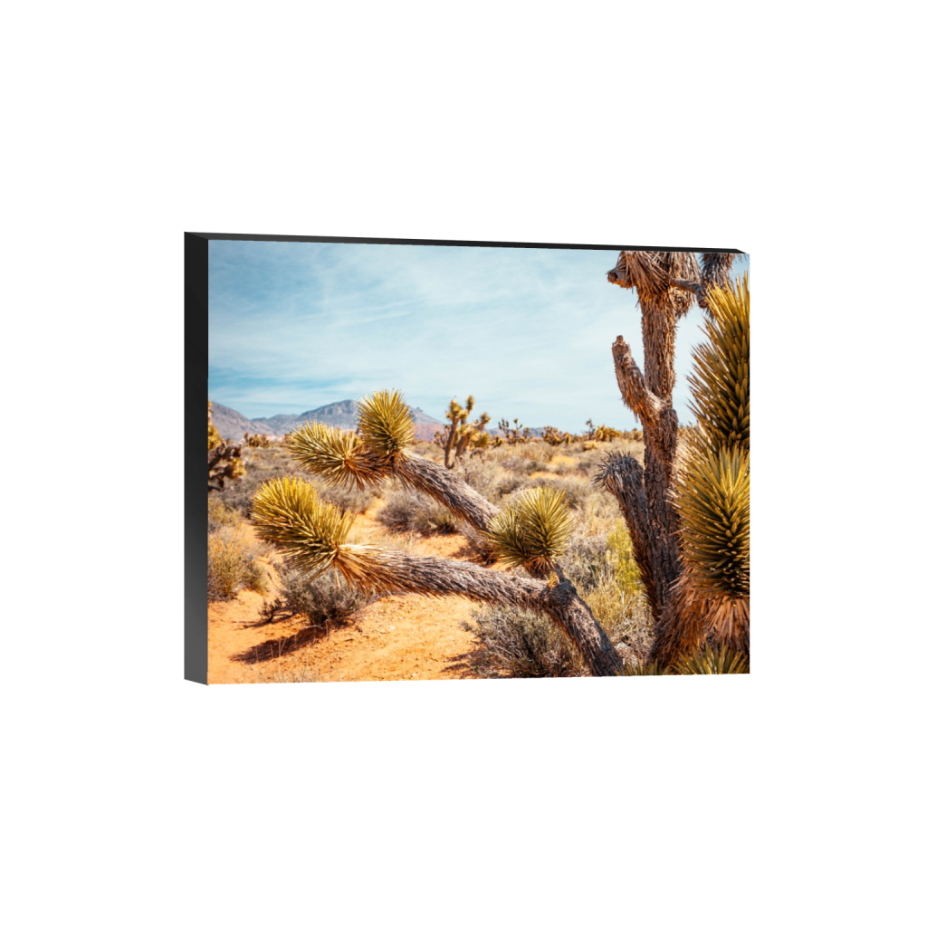 standout_rectangle4_5_233_0_3073_2459_0.png