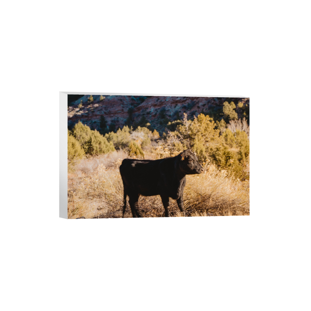 canvas_rectangle2_3_0_307_4614_3076_0.png