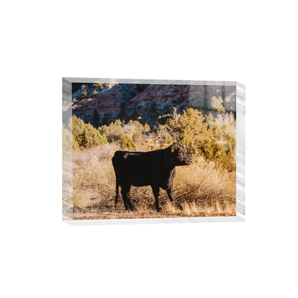 acrylicdesktopprint_rectangle4_5_0_0_4613_3691_0.png