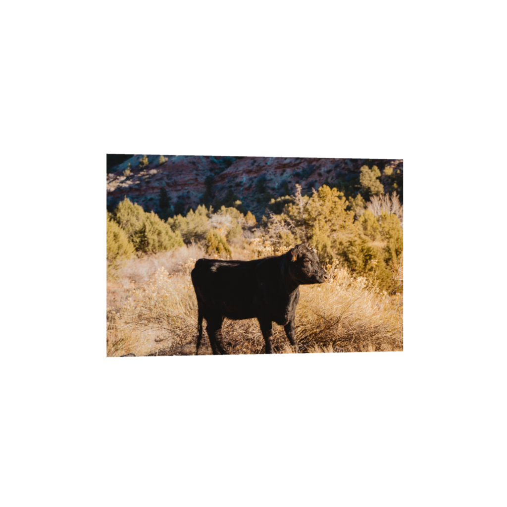 fineartprints_rectangle2_3_0_307_4614_3076_0.png