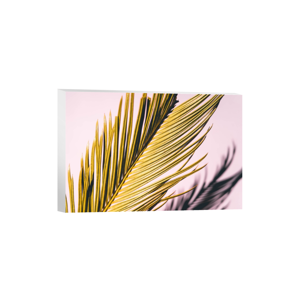 canvas_rectangle2_3_0_666_4000_2666_0.png