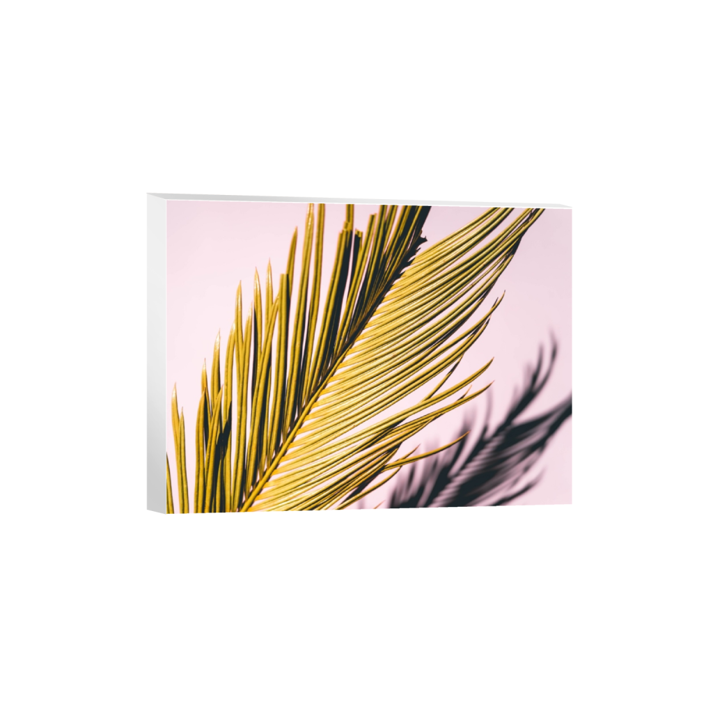 canvas_rectangle3_4_0_500_4000_3000_0.png