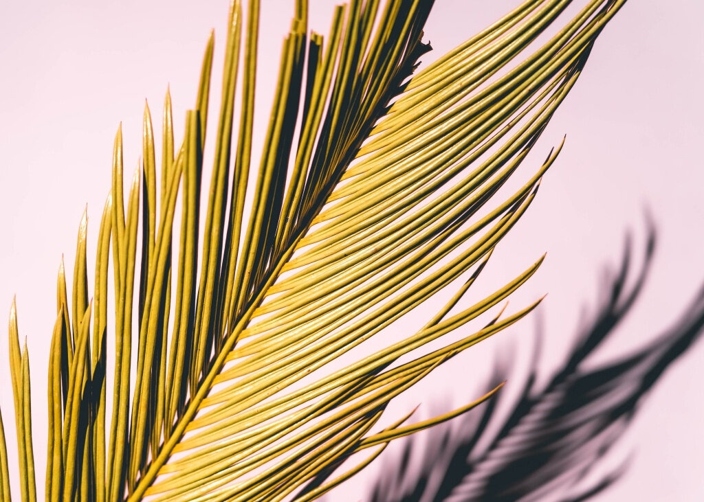 canvas_rectangle5_7_0_571_4000_2857_0.png