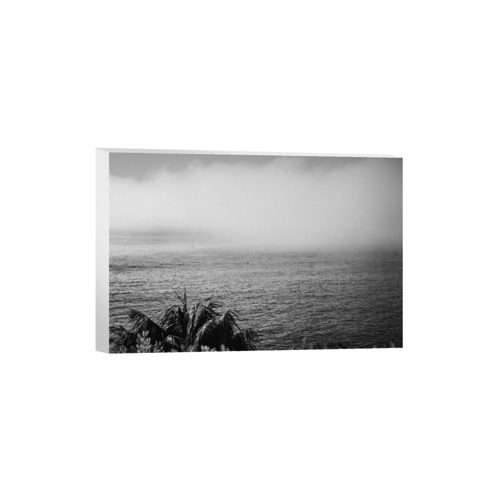 canvas_rectangle2_3_0_0_6000_4000_0.png