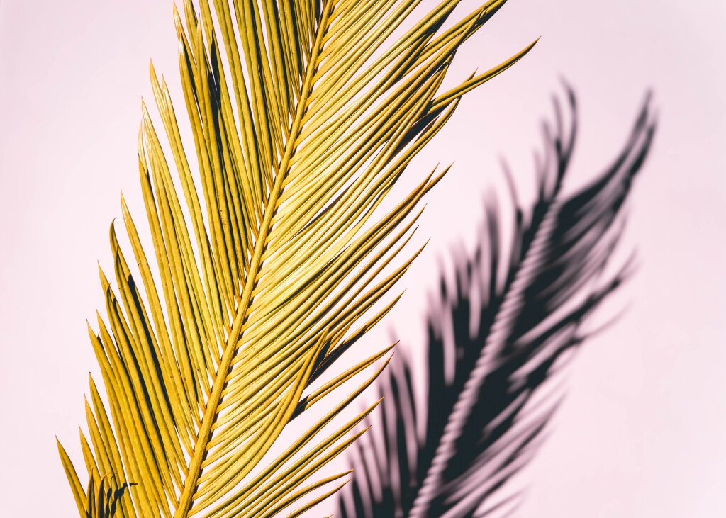 canvas_rectangle5_7_0_201_4710_3364_0.png