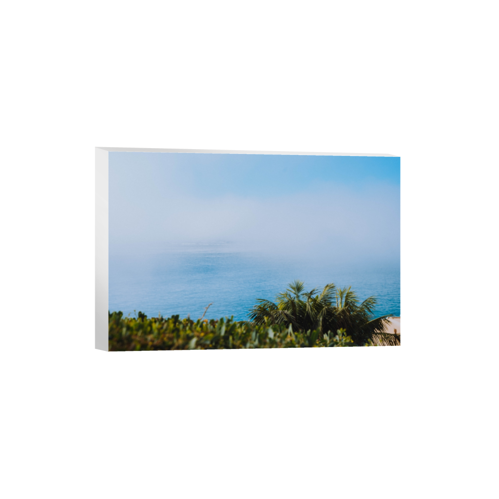 canvas_rectangle2_3_0_0_6000_4000_0.png