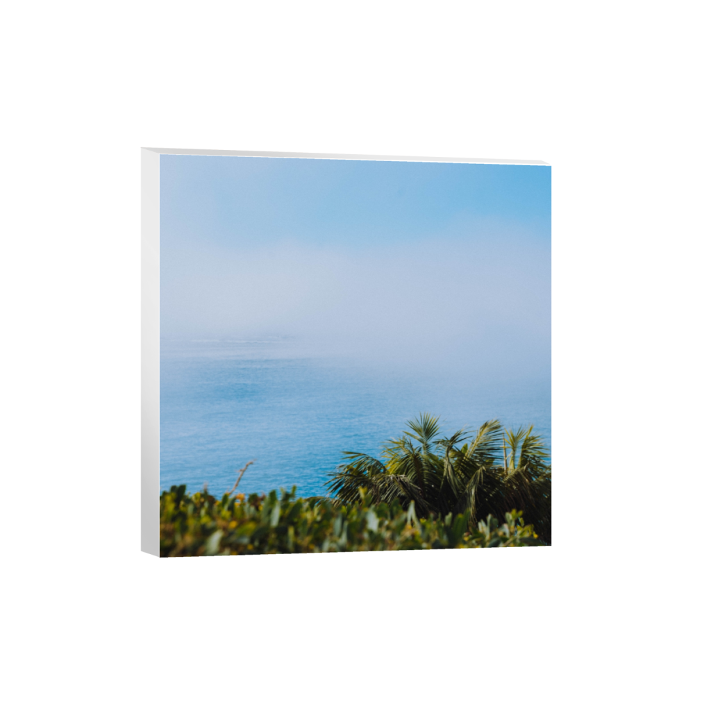 canvas_square_1120_0_4000_4000_0.png