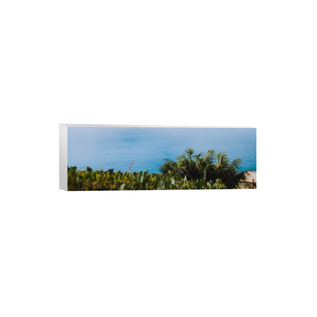canvas_rectangle1_3_0_1960_6000_2000_0.png