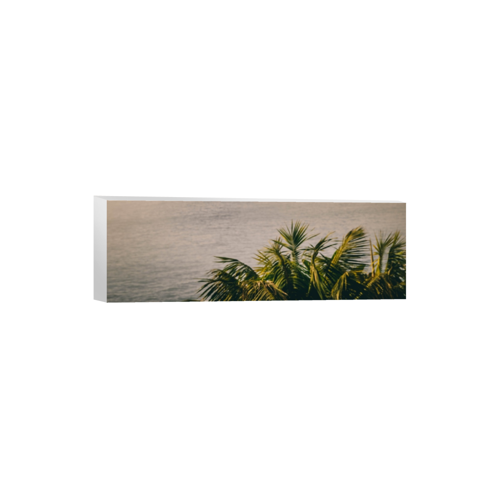 canvas_rectangle1_3_0_2493_4000_1333_0.png