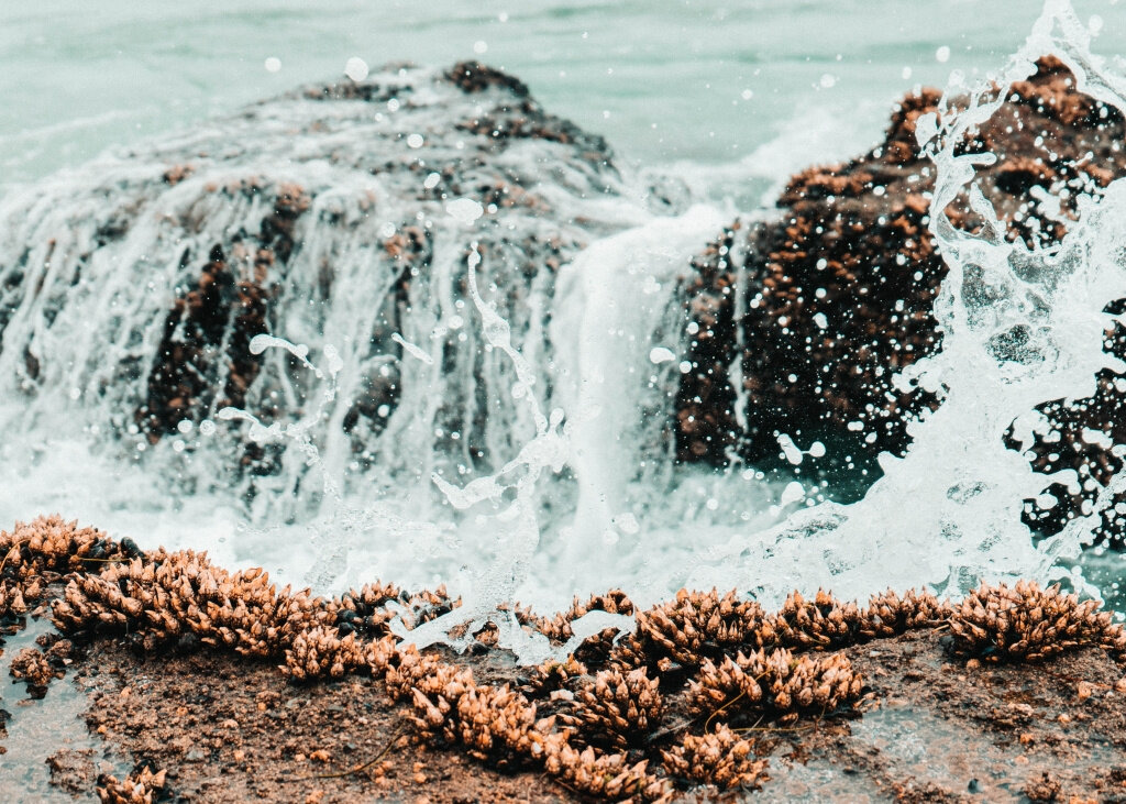 canvas_rectangle5_7_636_0_4726_3376_0.png