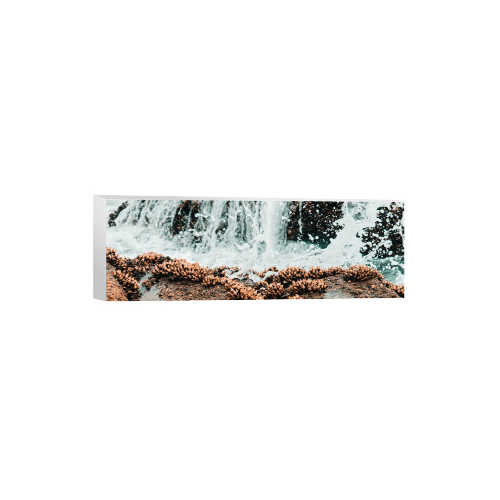 canvas_rectangle1_3_0_1140_6000_2000_0.png