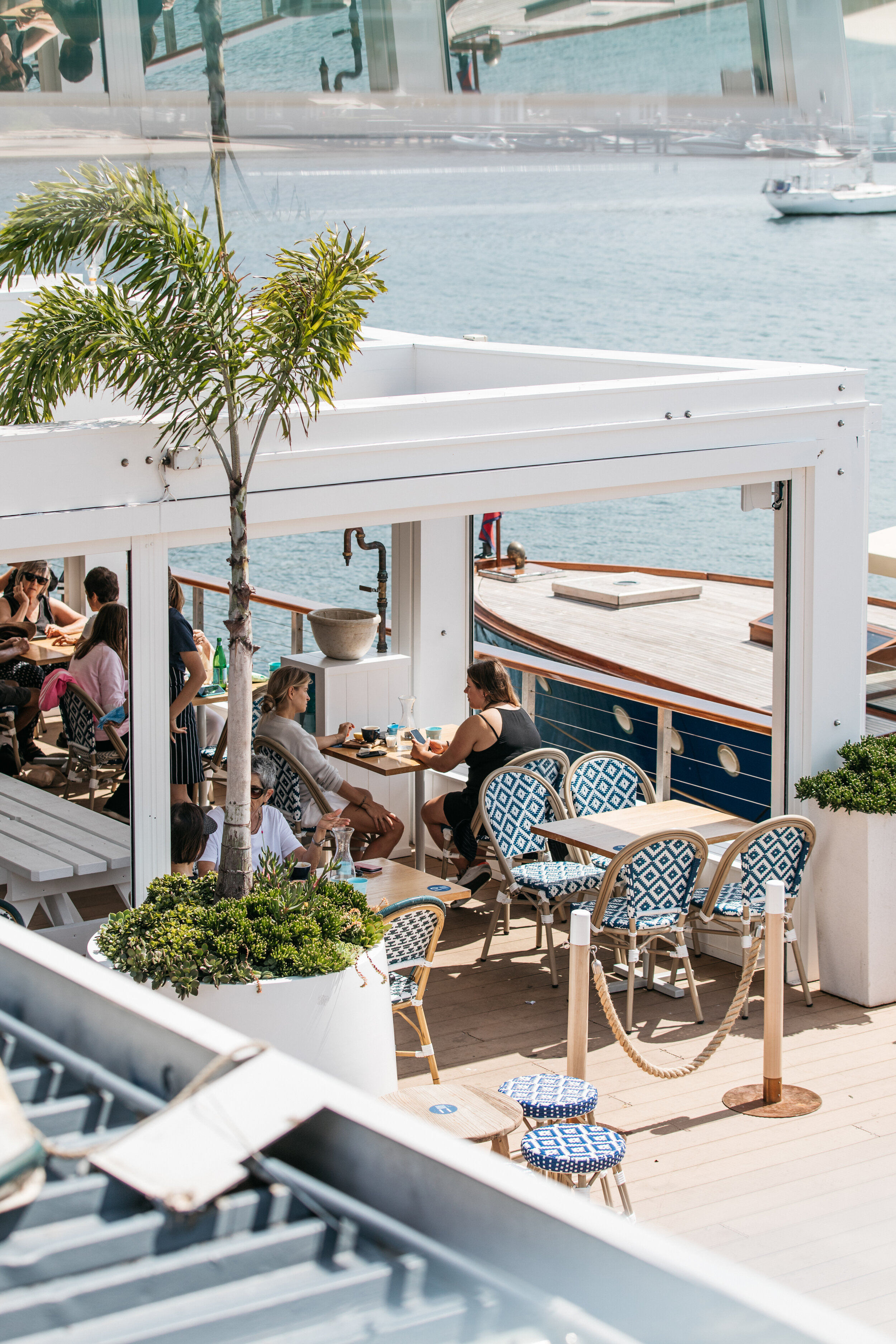 rose bay yacht club restaurant