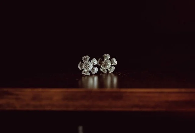 Bride earrings - Geraldton wax flower studs 2022
