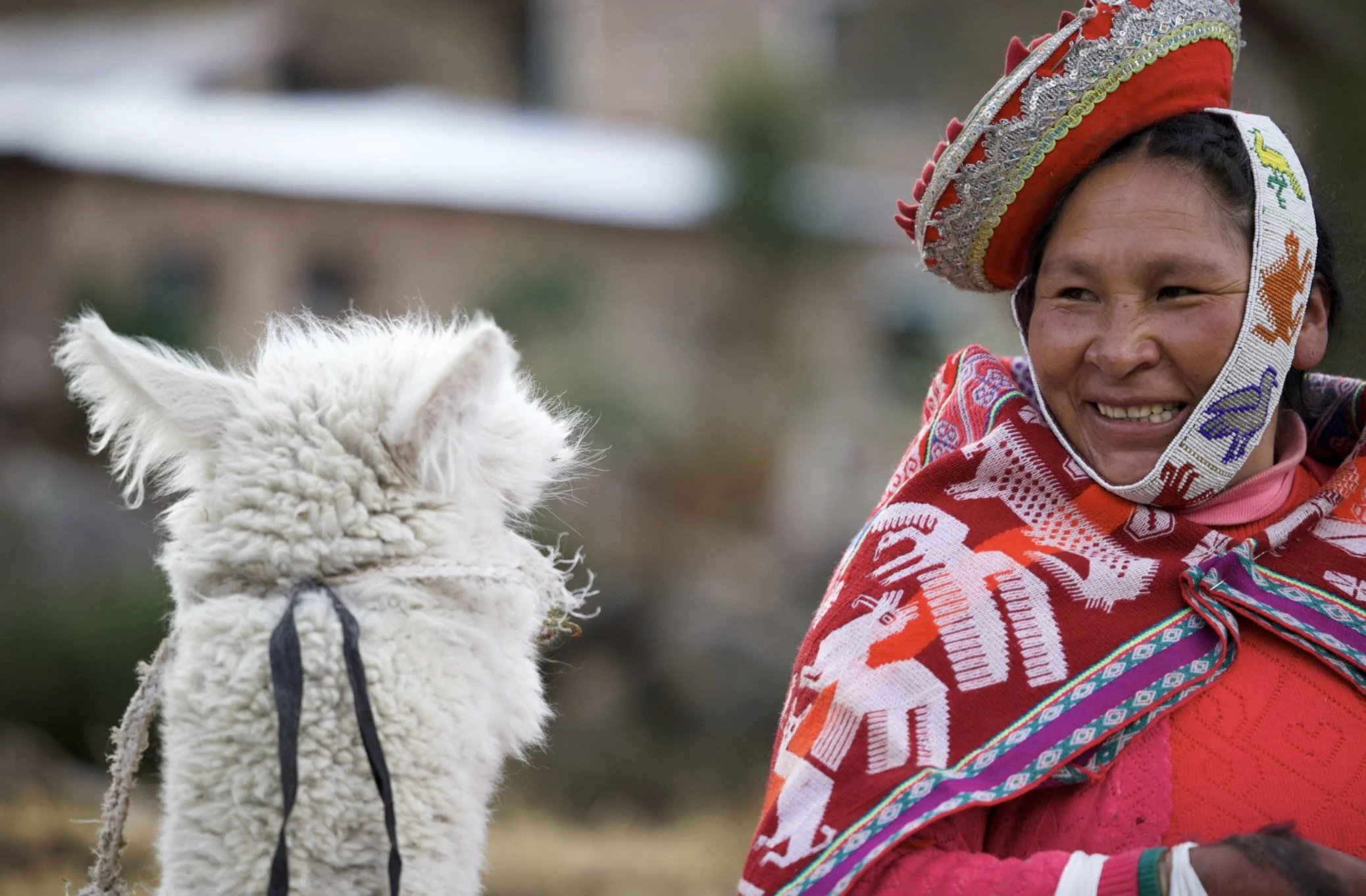 Screenshot 2025-10-01 at 3.13.55 PM.jpg