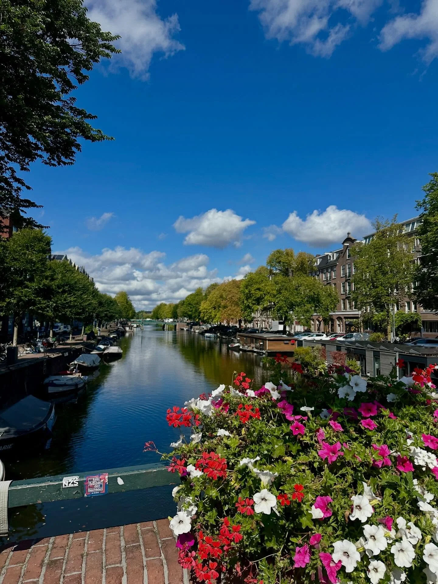 Scenes from Amsterdam and Ghent 🌷 🏰 🚲