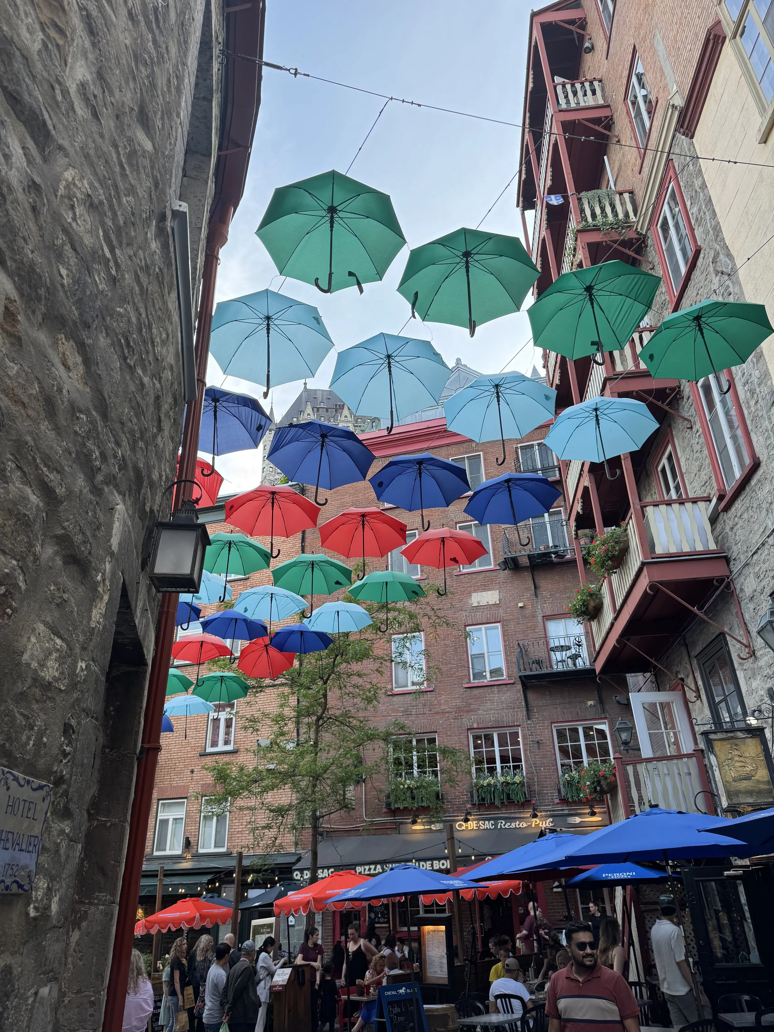 IMG_1307.jpeg