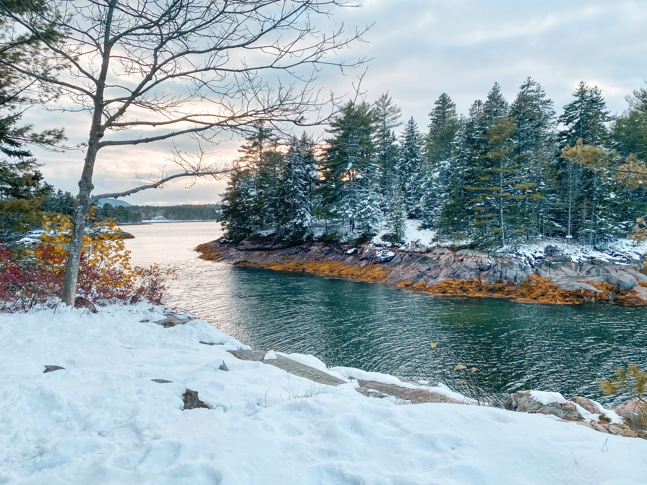 Campground snow.JPG