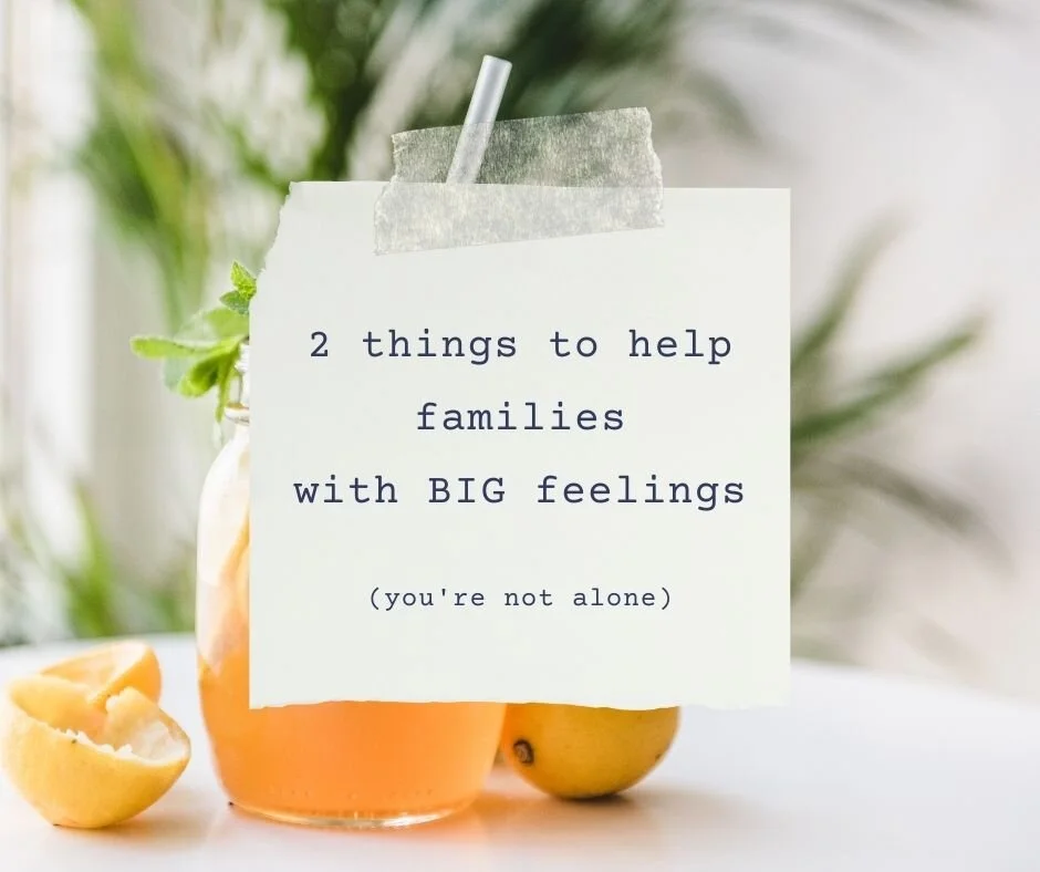 Two Things to Help Families with Big Feelings
