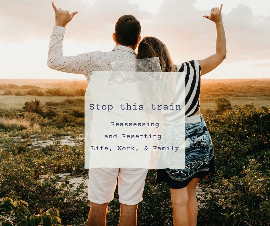 stop this train.jpeg