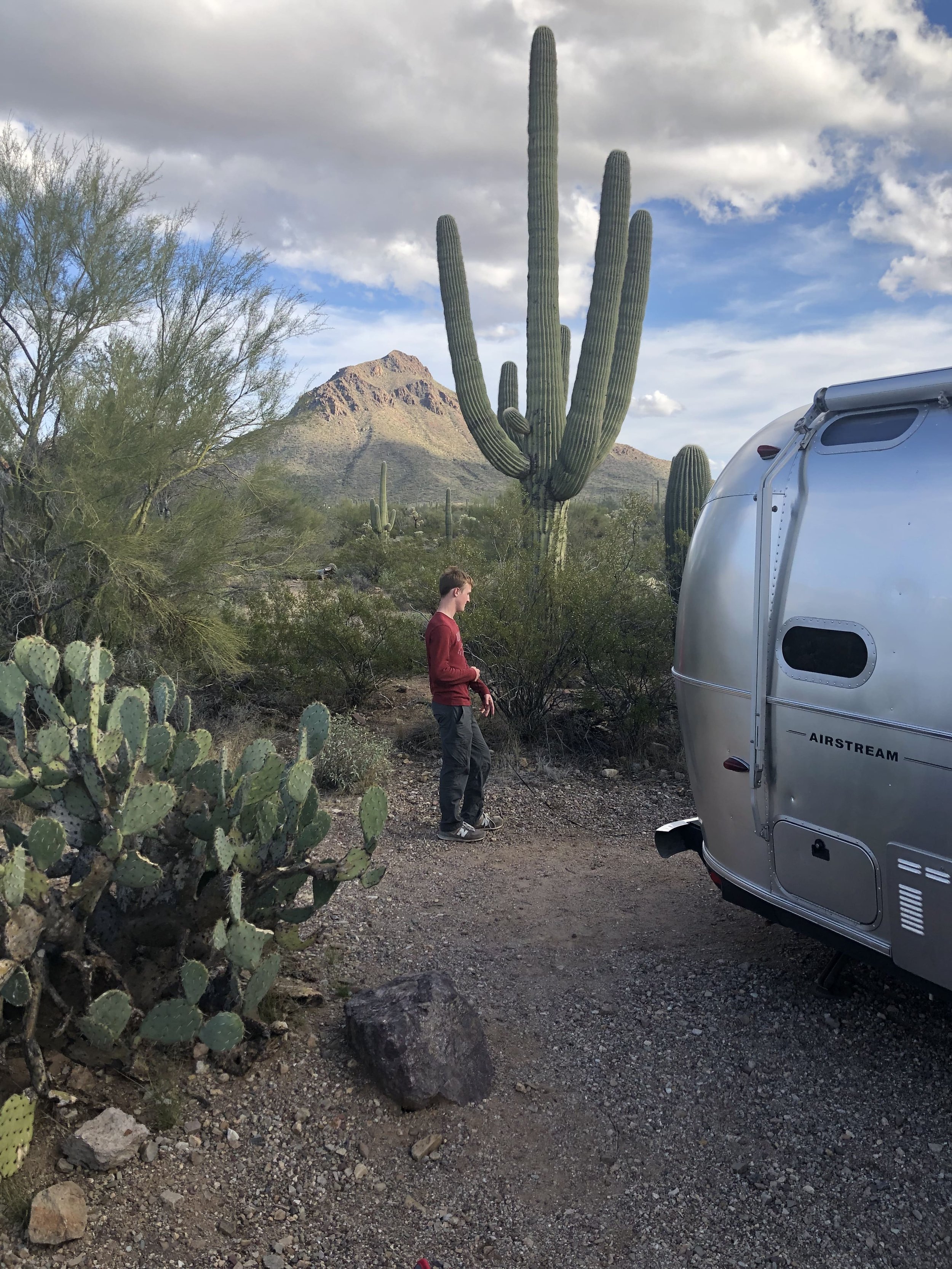 cactus airstream.jpg