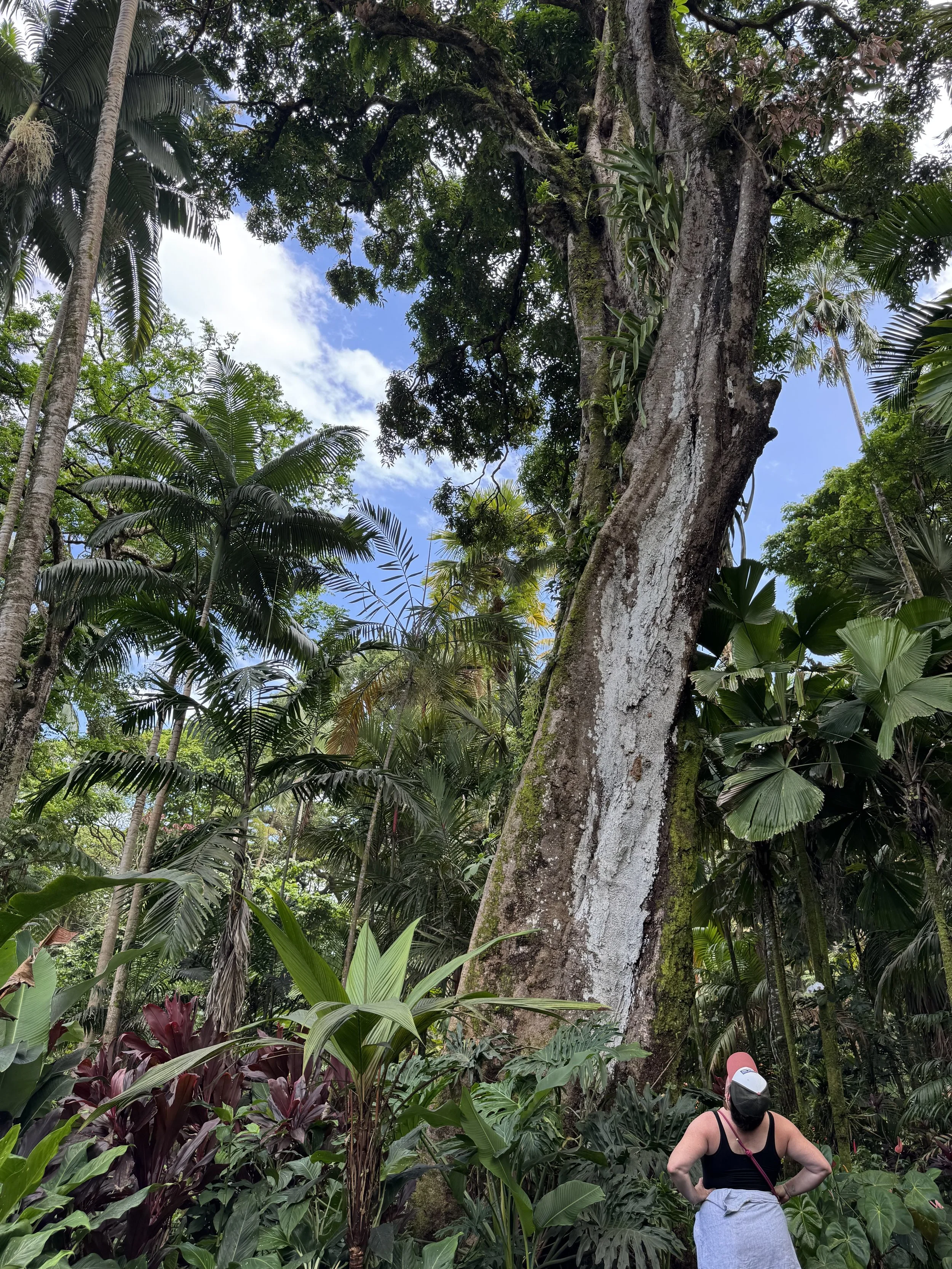 6 botanical 3.jpeg