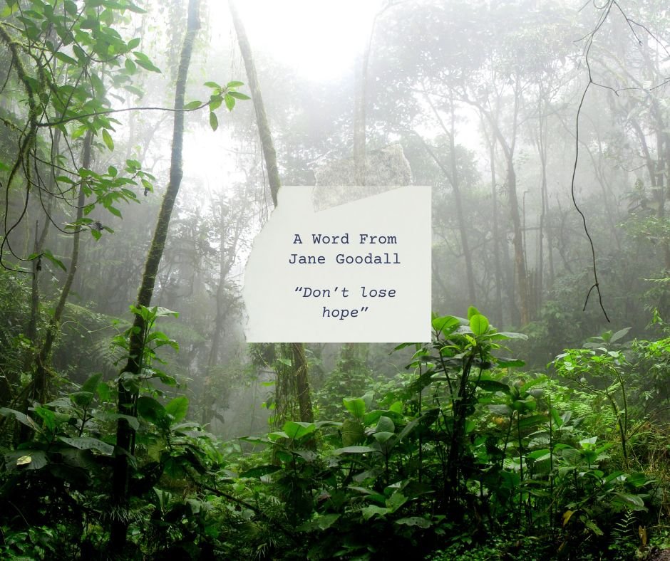 A Word from Jane Goodall