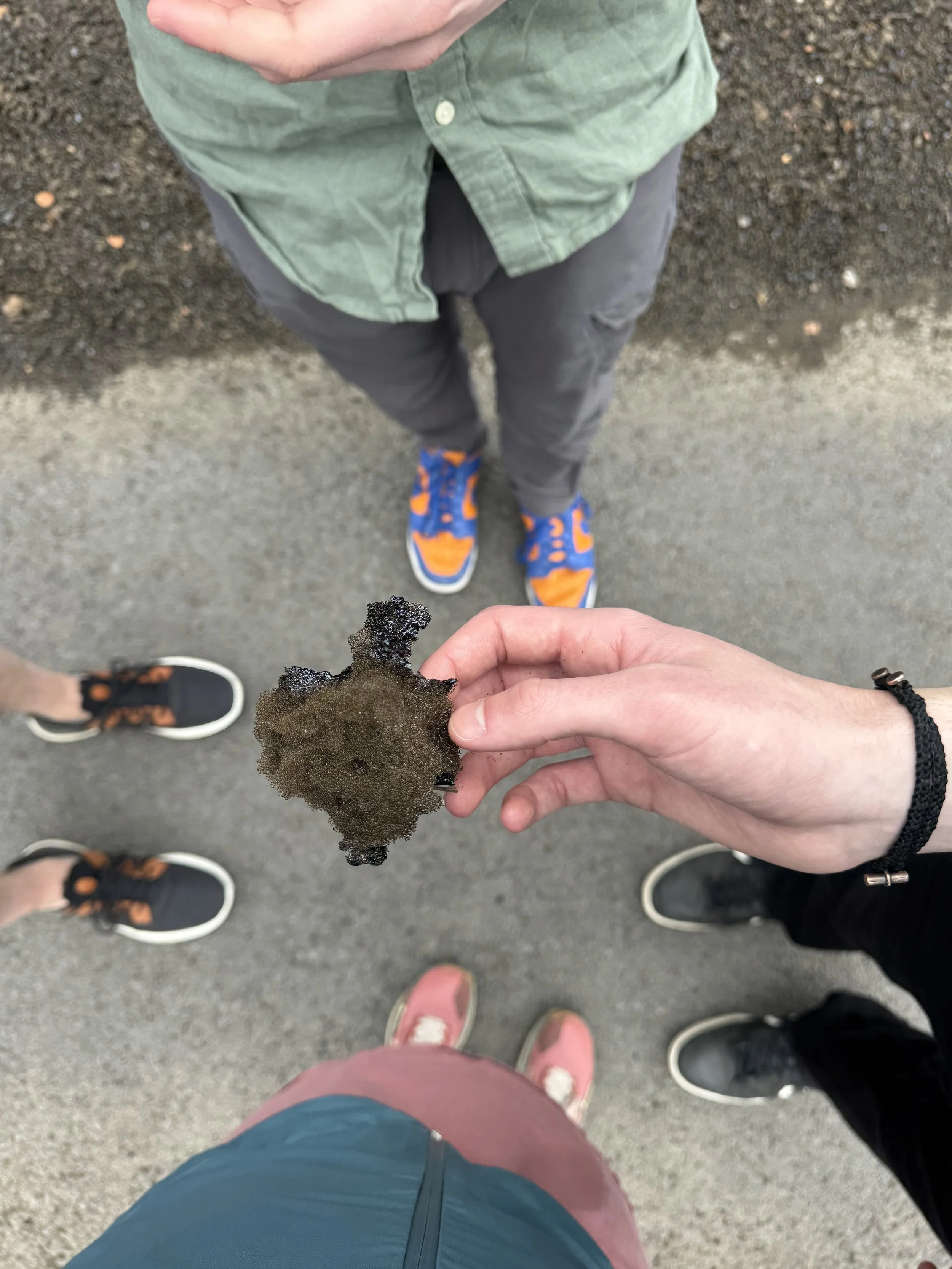 3 hike the caldera 3.jpeg