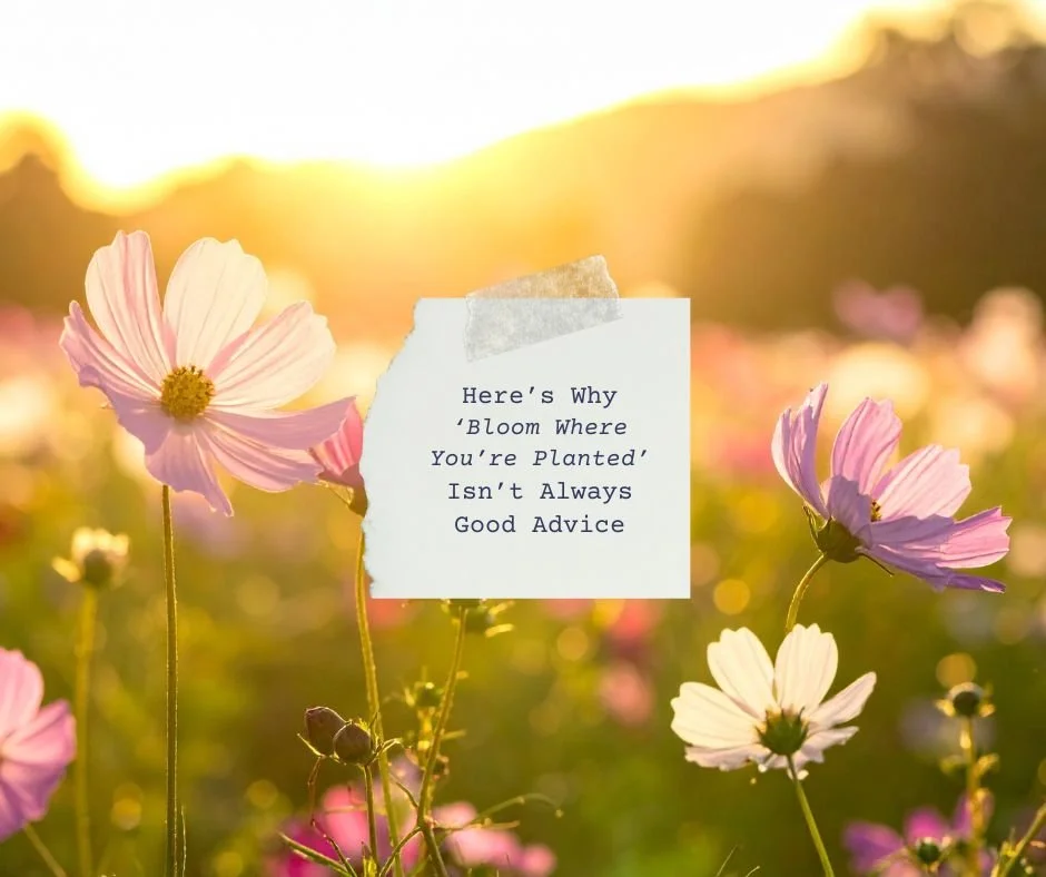 Why ‘Bloom Where You’re Planted’ Isn’t Always Good Advice